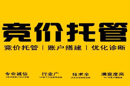 SEM托管代运营成功案例：提升品牌曝光率